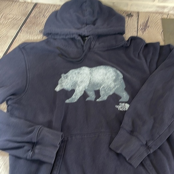The north face hoodie mens medium - Picture 1 of 5